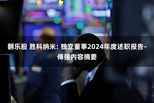 翻乐股 胜科纳米: 独立董事2024年度述职报告-傅强内容摘要