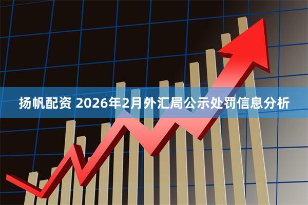 扬帆配资 2026年2月外汇局公示处罚信息分析